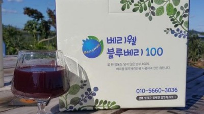 착즙했어요! 맛있는 무농약 블루베리 착즙 후기 & 꿀팁 대방출! ✨